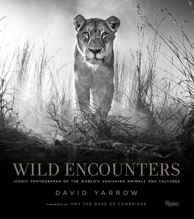 Wild Encounters: Iconic Photographs of the World's Vanishing Animals and Cultures - Retail Maharaj