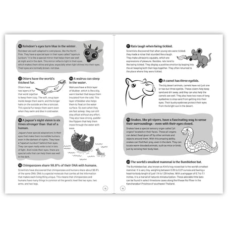 Interesting Facts for Curious Kids: 1000 Fascinating Facts about the Human Body, Animals, Space, History, Science, Technology, and more to Spark ... 5+ [Select Learning] (Penguin Early Learning) - Retail Maharaj