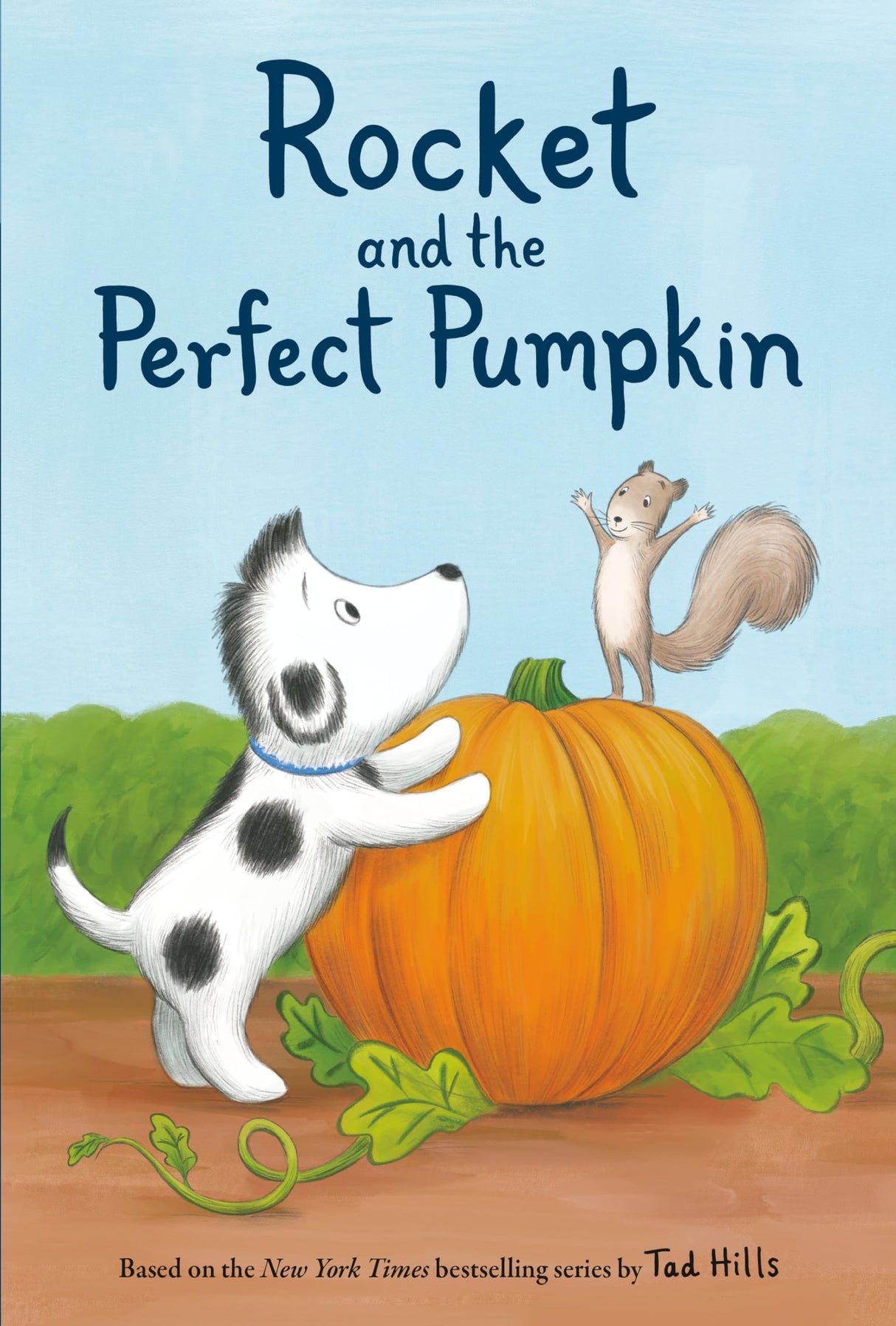 Rocket and the Perfect Pumpkin - Retail Maharaj