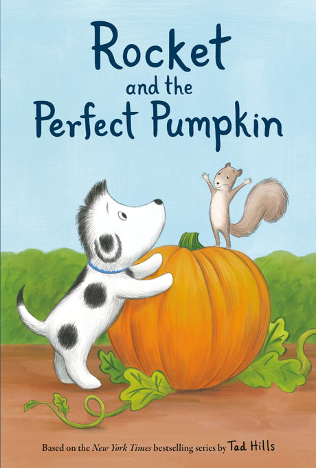 Rocket and the Perfect Pumpkin - Retail Maharaj