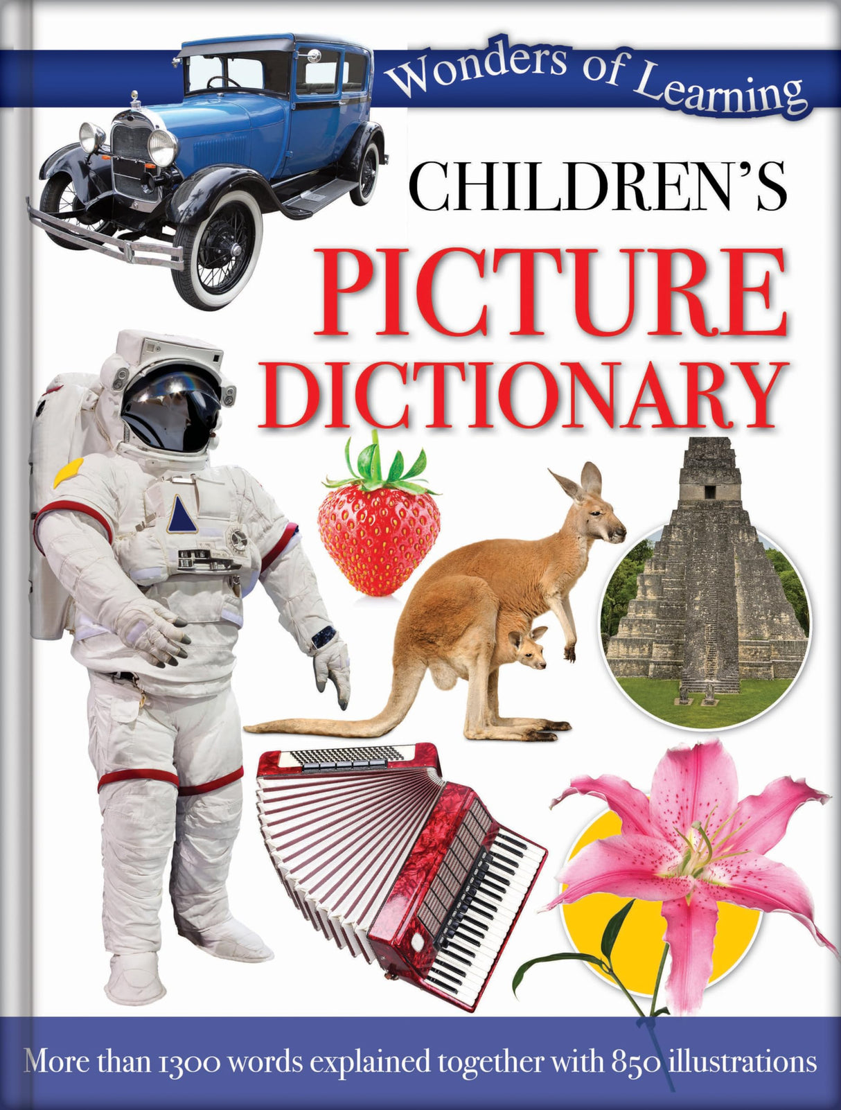 CHILDREN'S PICTURE DICTIONARY - Retail Maharaj