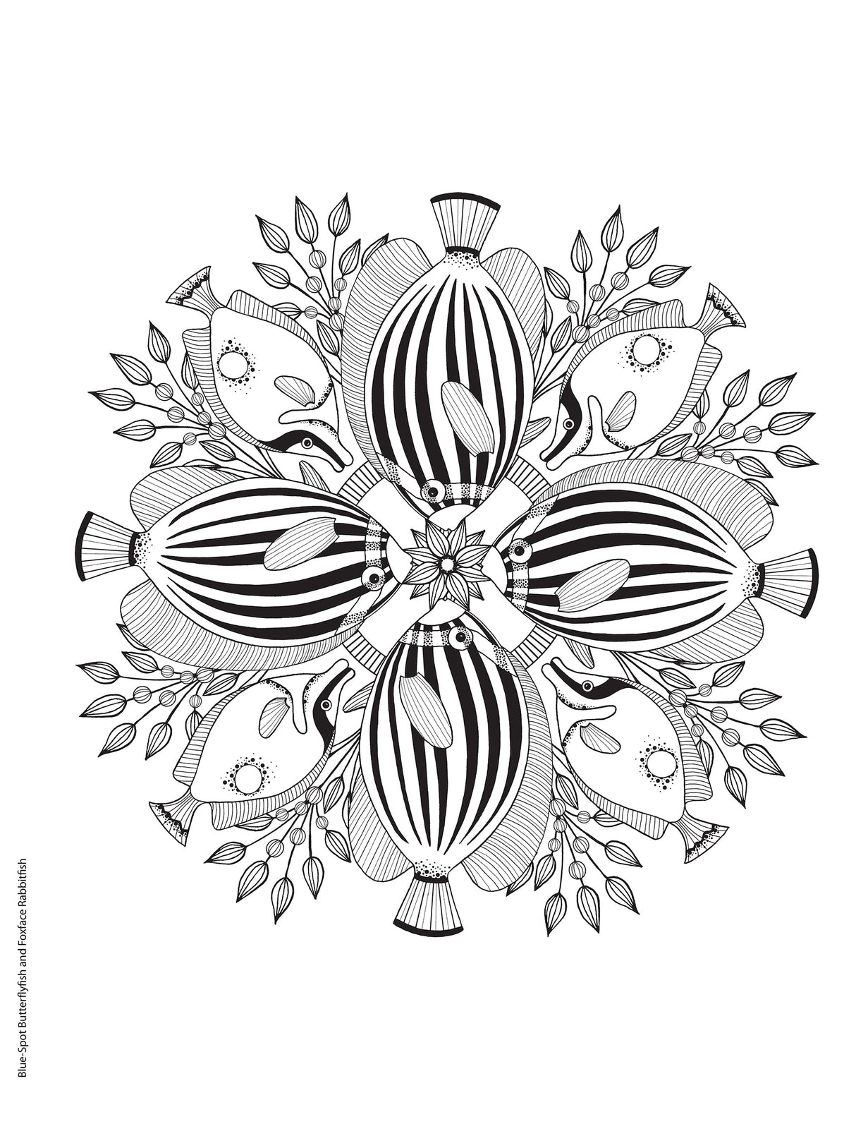 Creative Haven Stunning Sea Life Mandalas Coloring Book - Retail Maharaj