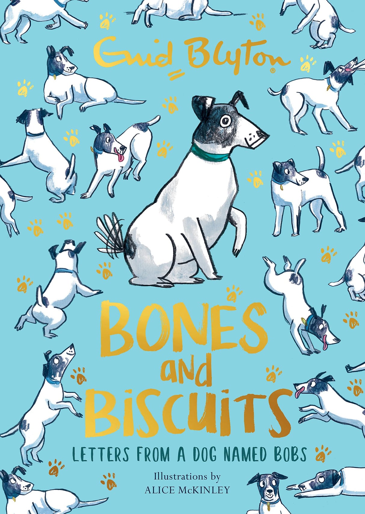 Bones and Biscuits - Retail Maharaj