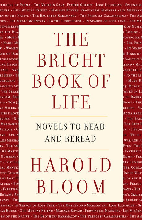 The Bright Book of Life: Novels to Read and Reread - Retail Maharaj