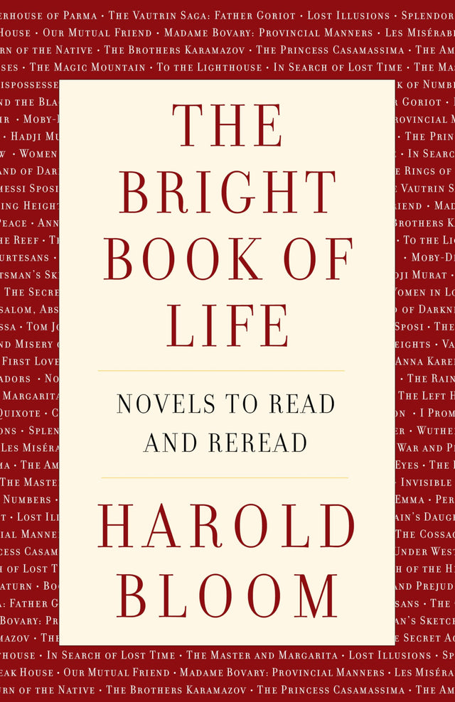 The Bright Book of Life: Novels to Read and Reread - Retail Maharaj