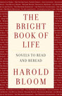 The Bright Book of Life: Novels to Read and Reread - Retail Maharaj