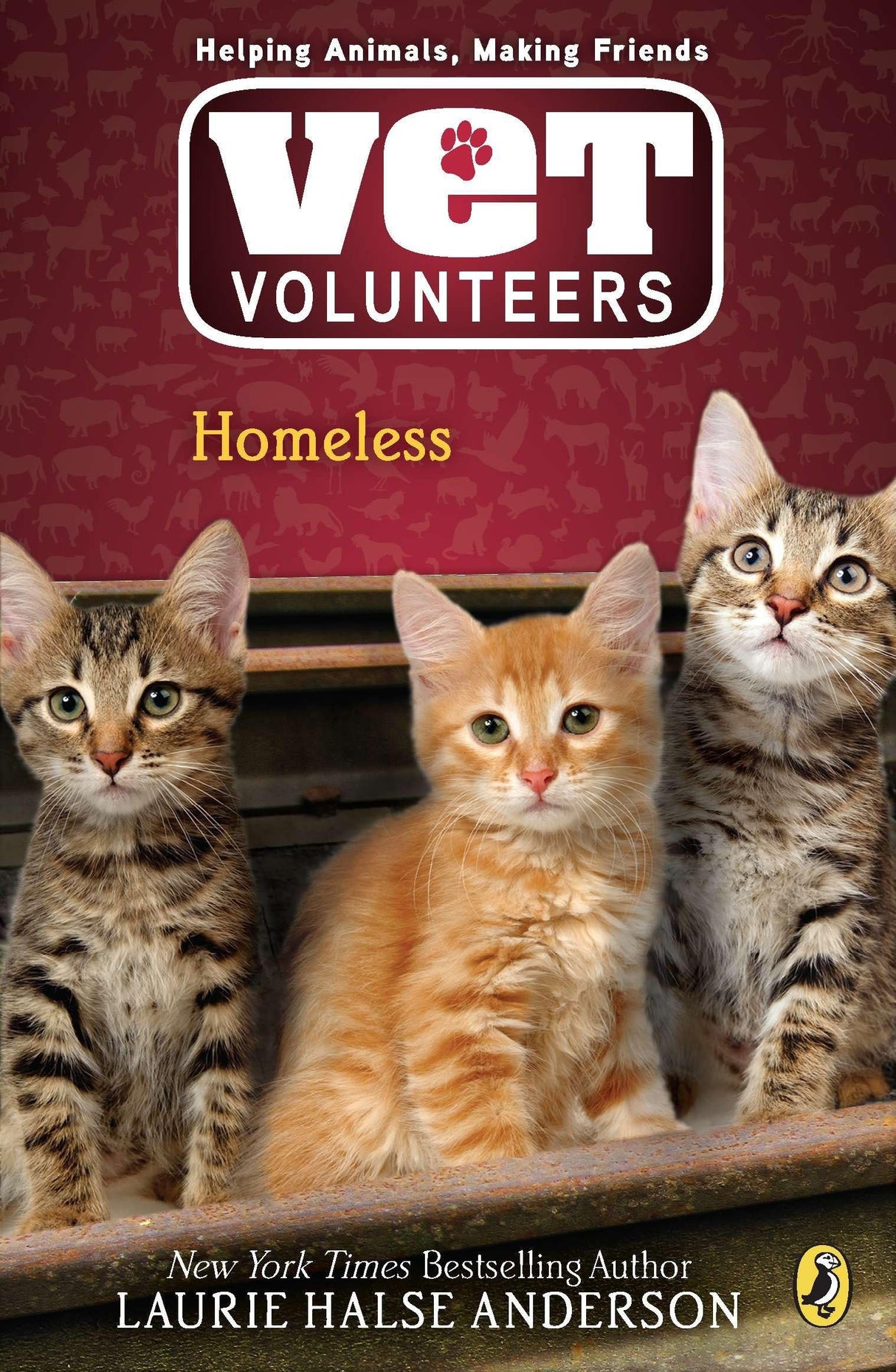 Homeless: 2 (Vet Volunteers) - Retail Maharaj