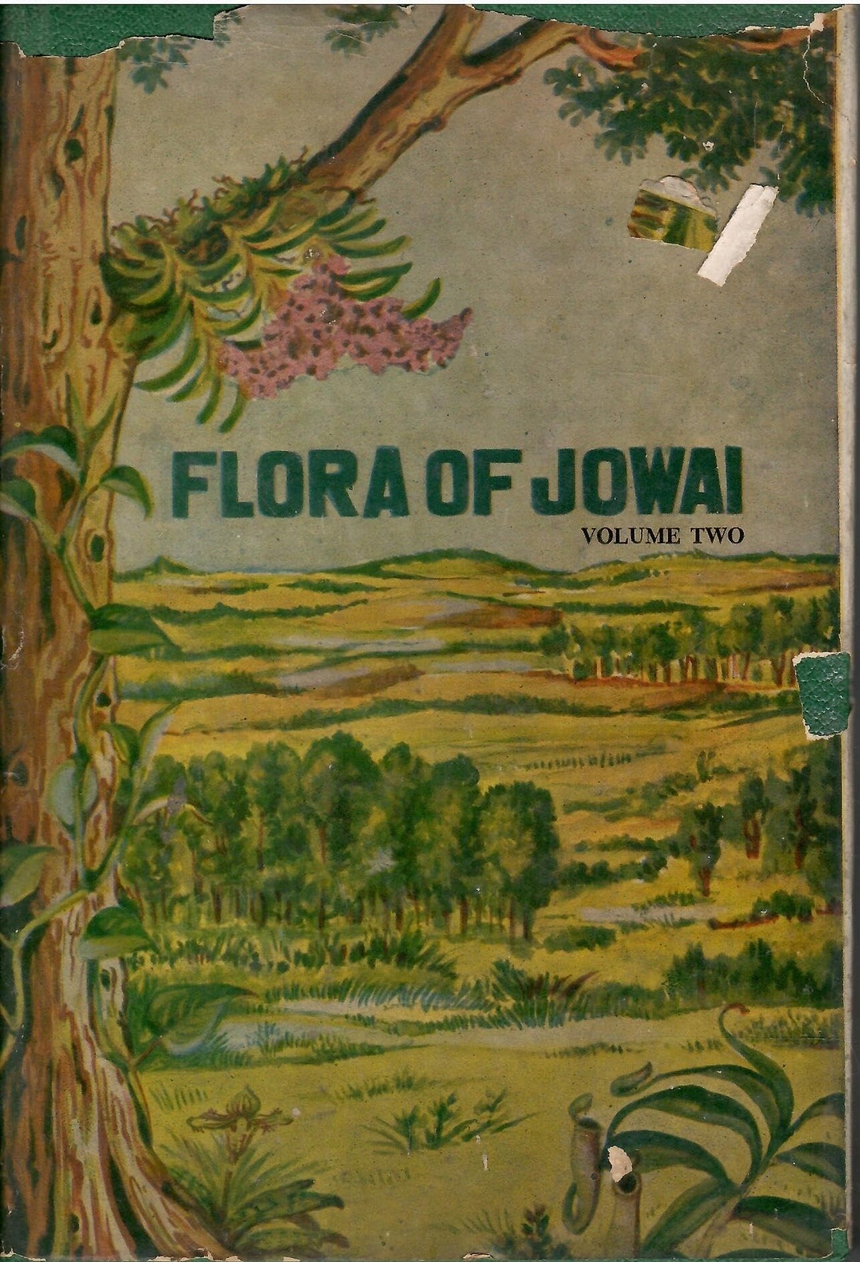 Flora of Jowai and Vicinity Meghalaya - Volume 2 (Rare Book)