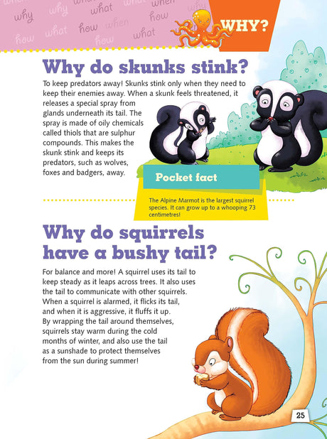 Encyclopedia: My Encyclopedia of Animals - What? Why? How? When? - Encyclopedia books for Children - Retail Maharaj