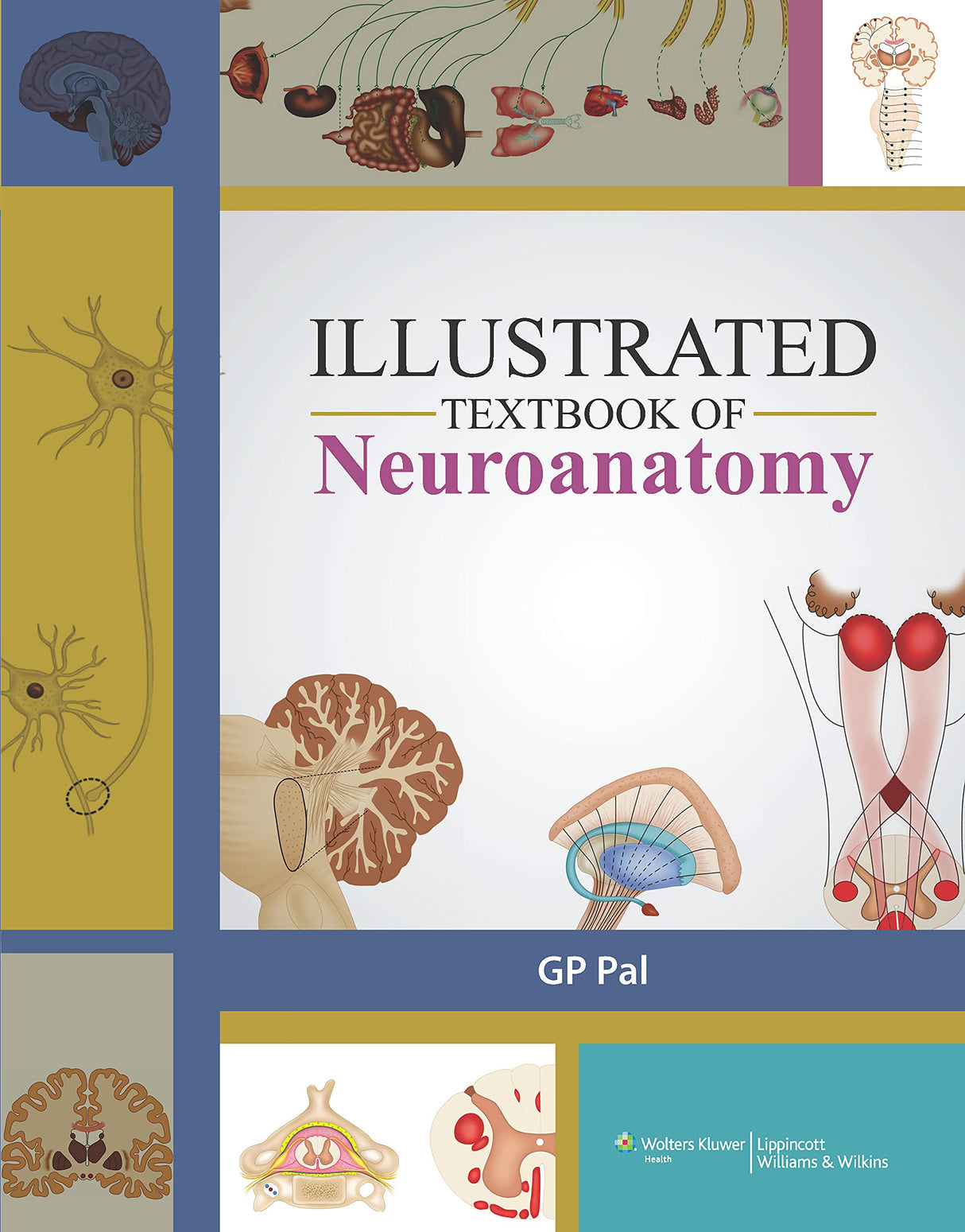 Illustrated Text Book of Neuroanatomy - Retail Maharaj