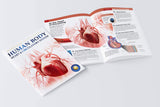 Human Body - Heart And Circulatory System: Knowledge Encyclopedia For Children - Retail Maharaj