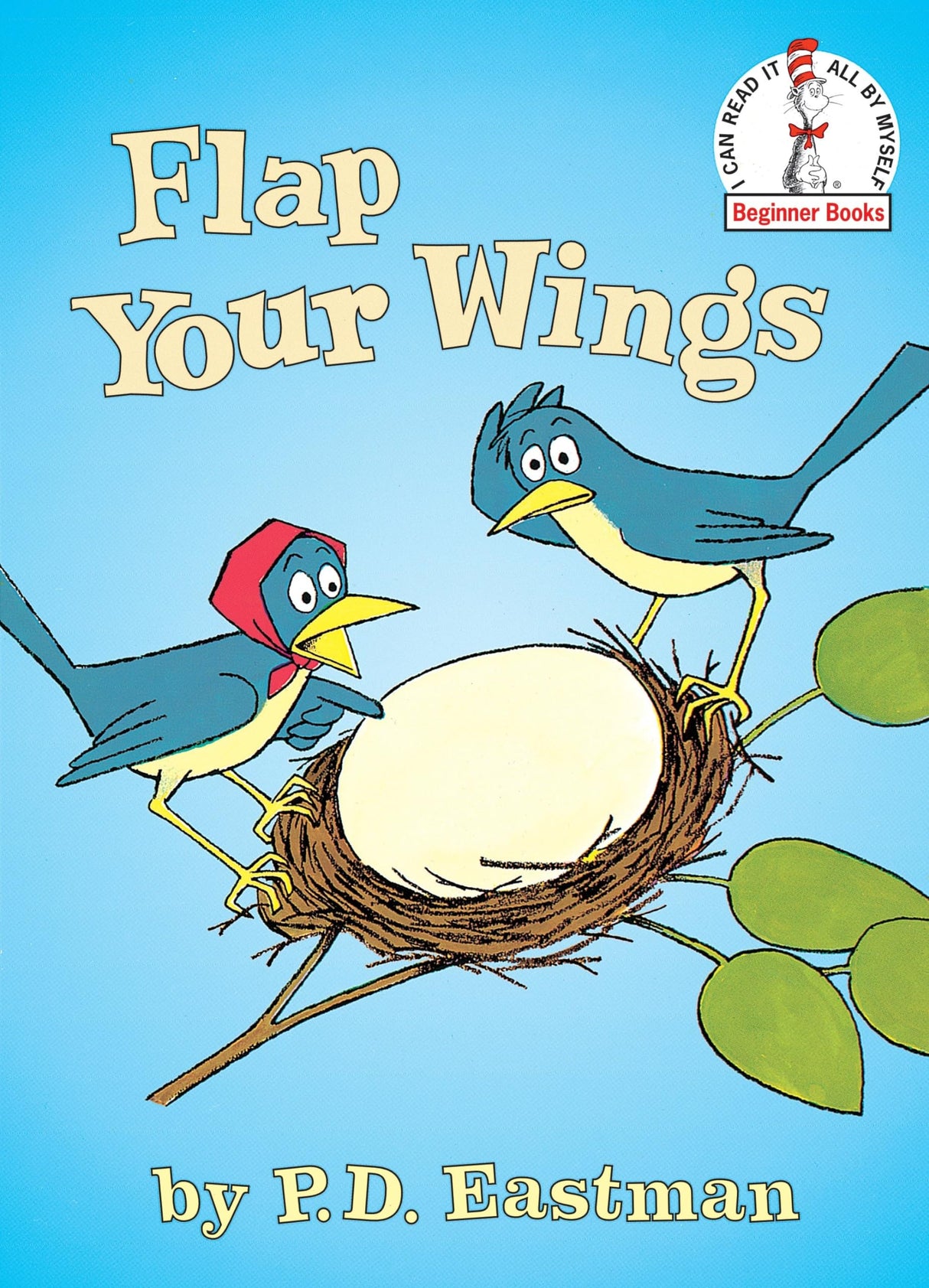 Flap Your Wings - Retail Maharaj