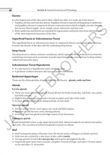 TEXTBOOK FOR BLOOD BANK & TRANSFUSION TECHNICIANS-1ST YEAR - Retail Maharaj