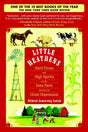 Little Heathens: Hard Times and High Spirits on an Iowa Farm During the Great Depression - Retail Maharaj