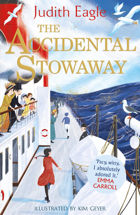 The Accidental Stowaway: 'A rollicking, salty, breath of fresh air.’ Hilary McKay - Retail Maharaj