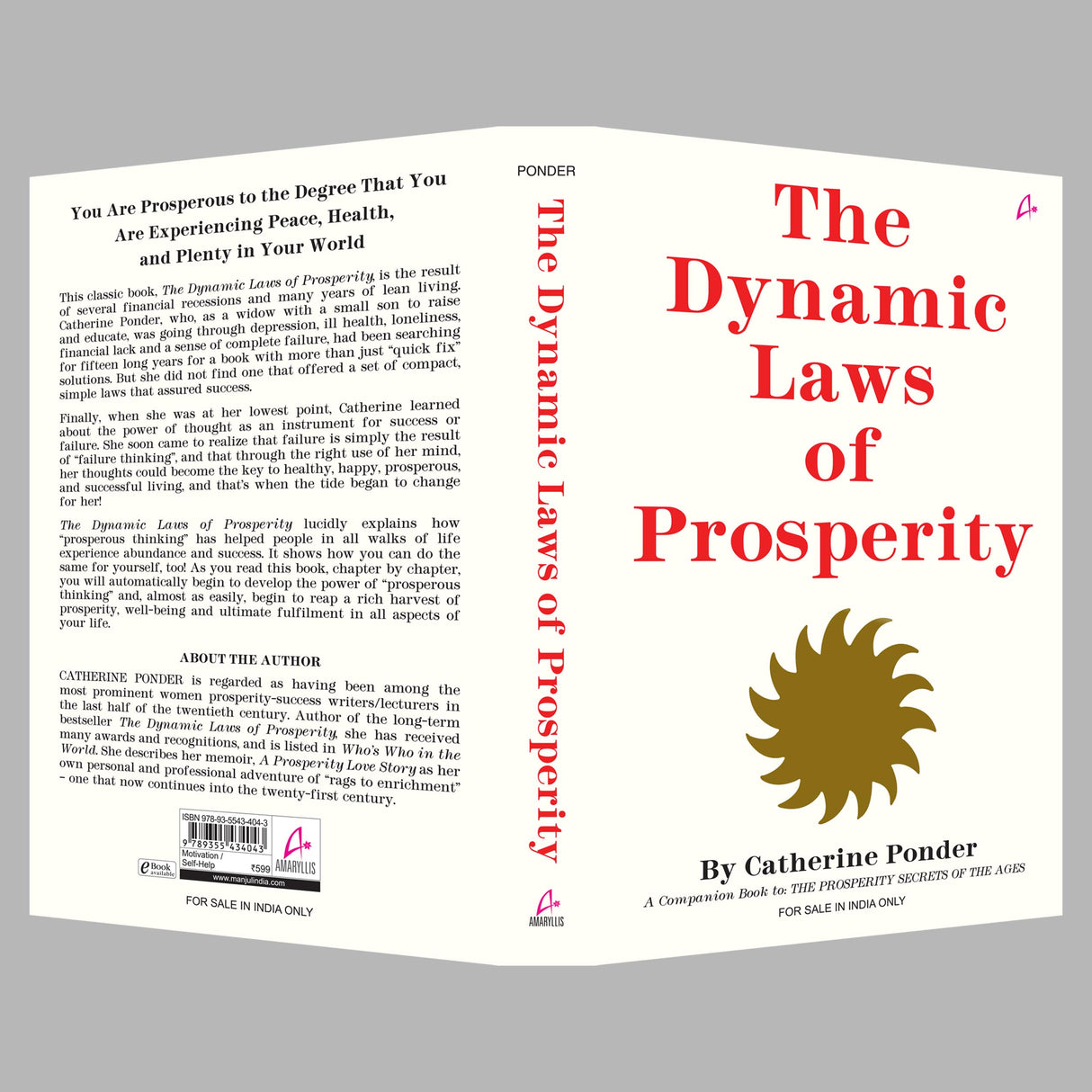 The Dynamic Laws of Prosperity (English) - Retail Maharaj