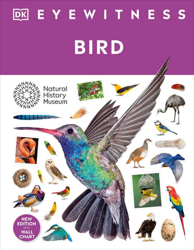 Bird (DK Eyewitness) - Retail Maharaj
