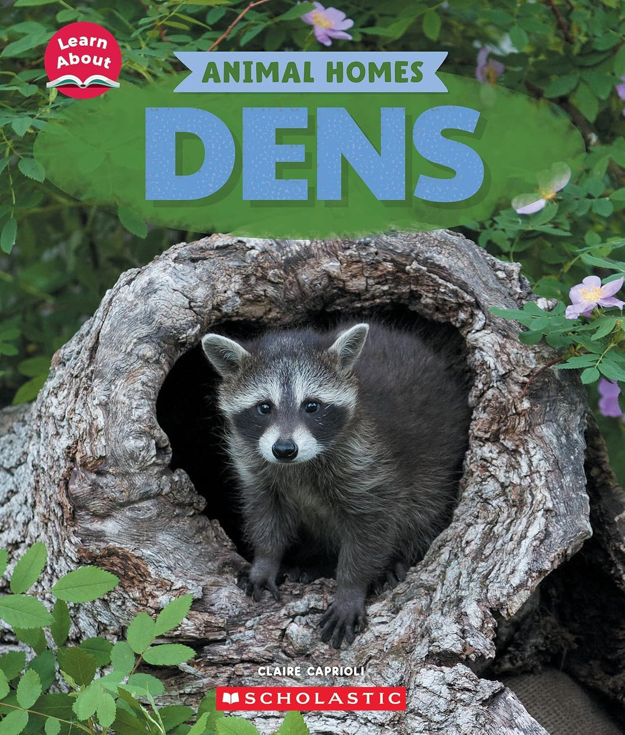Learn About: Animal Homes: Dens - Retail Maharaj