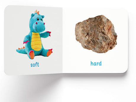 My First Library Pack 2: Boxset of 10 Board Books for Kids (Pack 2) | Includes Baby Objects, Baby Animals, Opposites, People at Work, Flowers, Food, Sea Animals, Things at Home, About Me & Toys | Early Learning Board Books for Babies, Toddlers & Preschool - Retail Maharaj