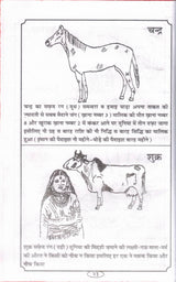 Lal Kitab | Samagra Vishesh Sanskaran | Pandit Roop Chandra Joshi Krit | Jyotish aur Grah Dosh Nivaran Book in Hindi - Retail Maharaj