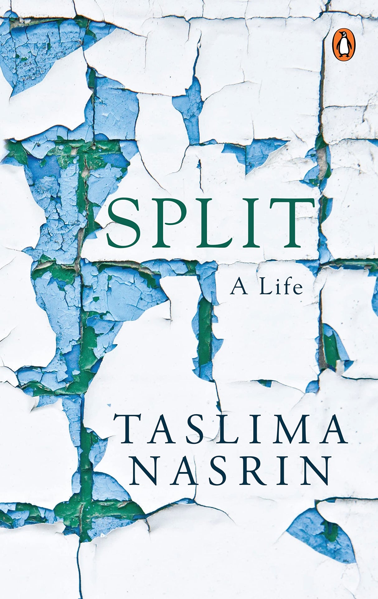 Split: A Life - Retail Maharaj