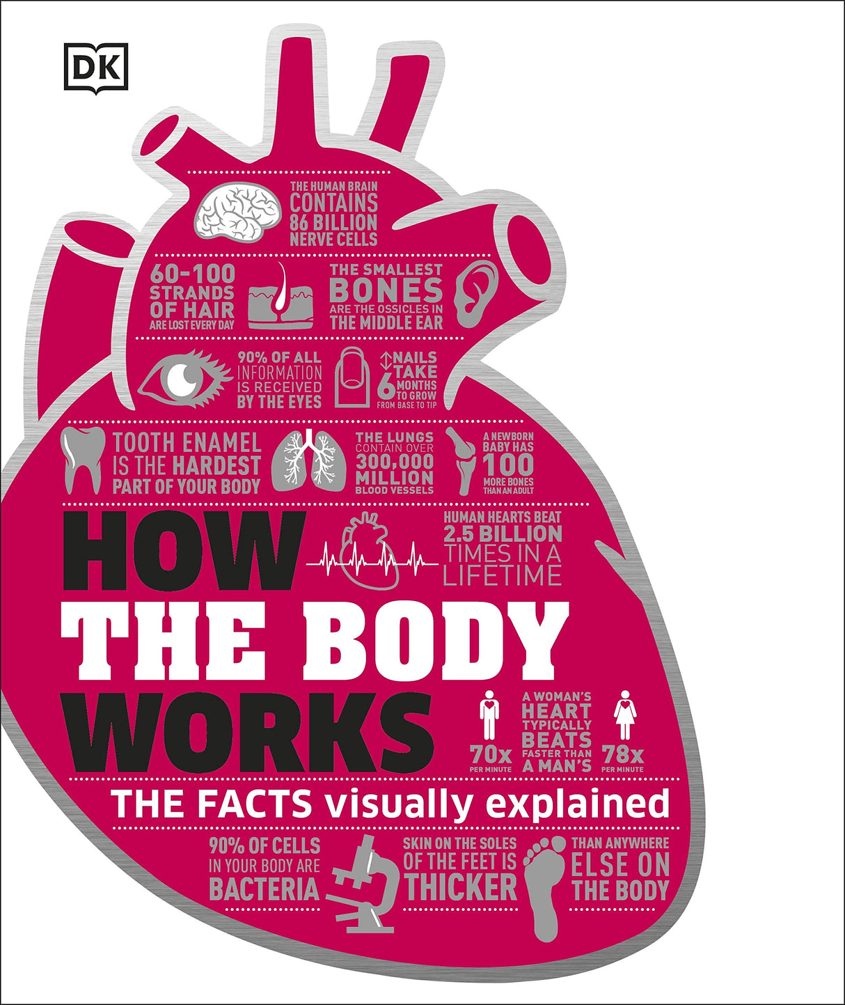 How the Body Works: The Facts Simply Explained - Retail Maharaj