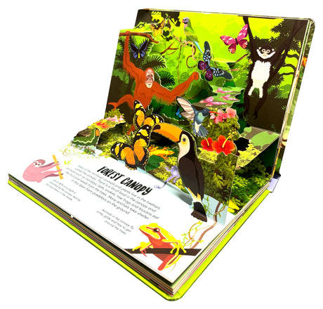 Pop Up Forest Book for Kids: Autumn, Mangroves, Rainforests & Discover the World of Forest | Journey Nature’s Wonders | Interactive Learning | ... | Adventure Fun Facts for Little Scholars - Retail Maharaj