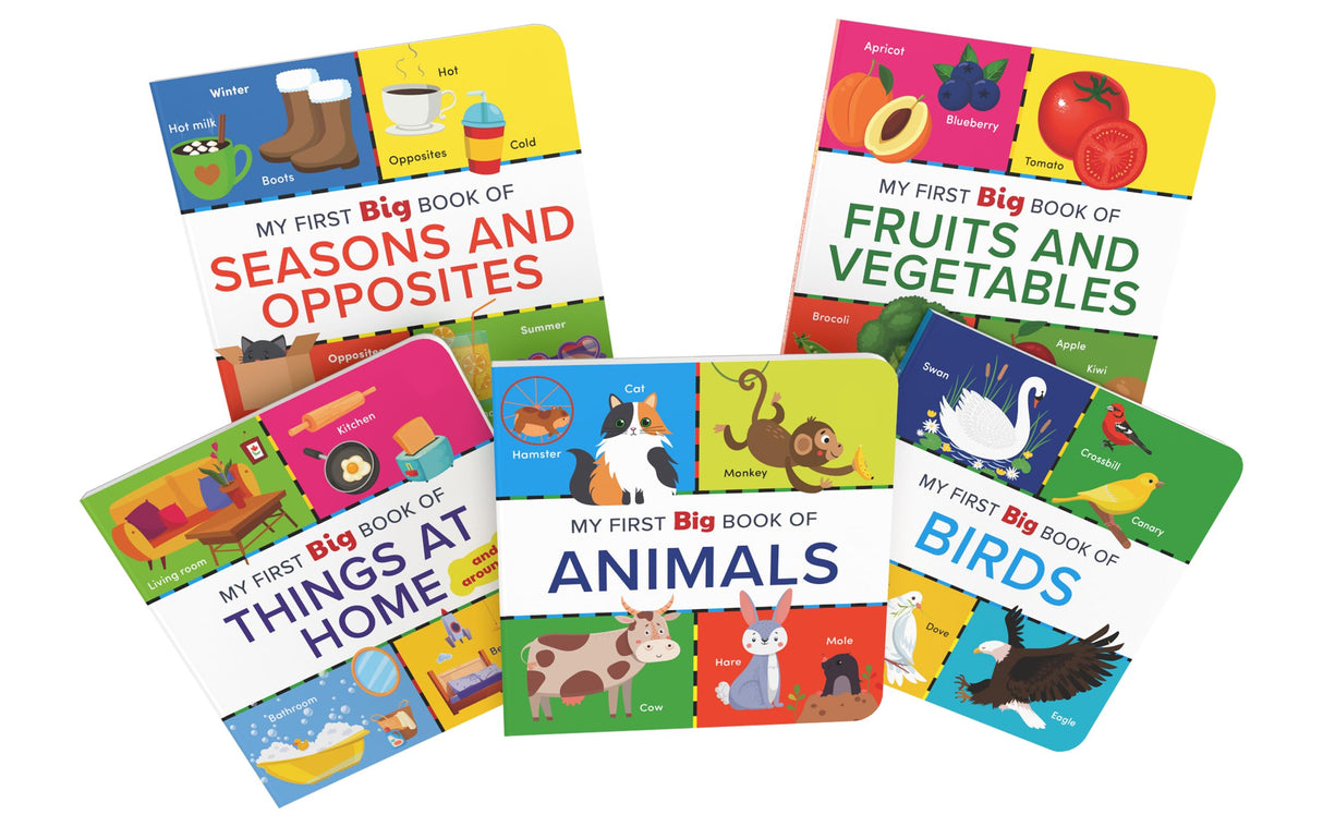 My First Big Book Boxset-Volume 2 (5 Books): A Pizza Box of 5 Large Font Illustrated Board Books on Animals, Birds, Fruits and Vegetables, Seasons, Opposites and Things at Home | Vocabulary Builder for Preschool Kids, Toddlers I Perfect Gift Set I Ages 1+ - Retail Maharaj