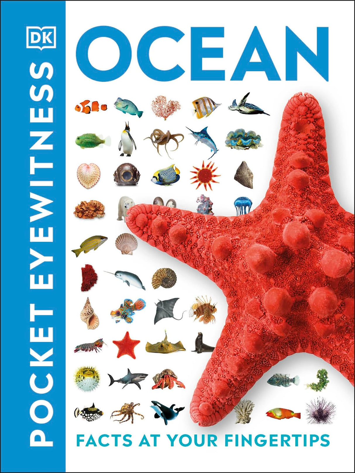 Ocean: Facts at Your Fingertips (Pocket Eyewitness) - Retail Maharaj