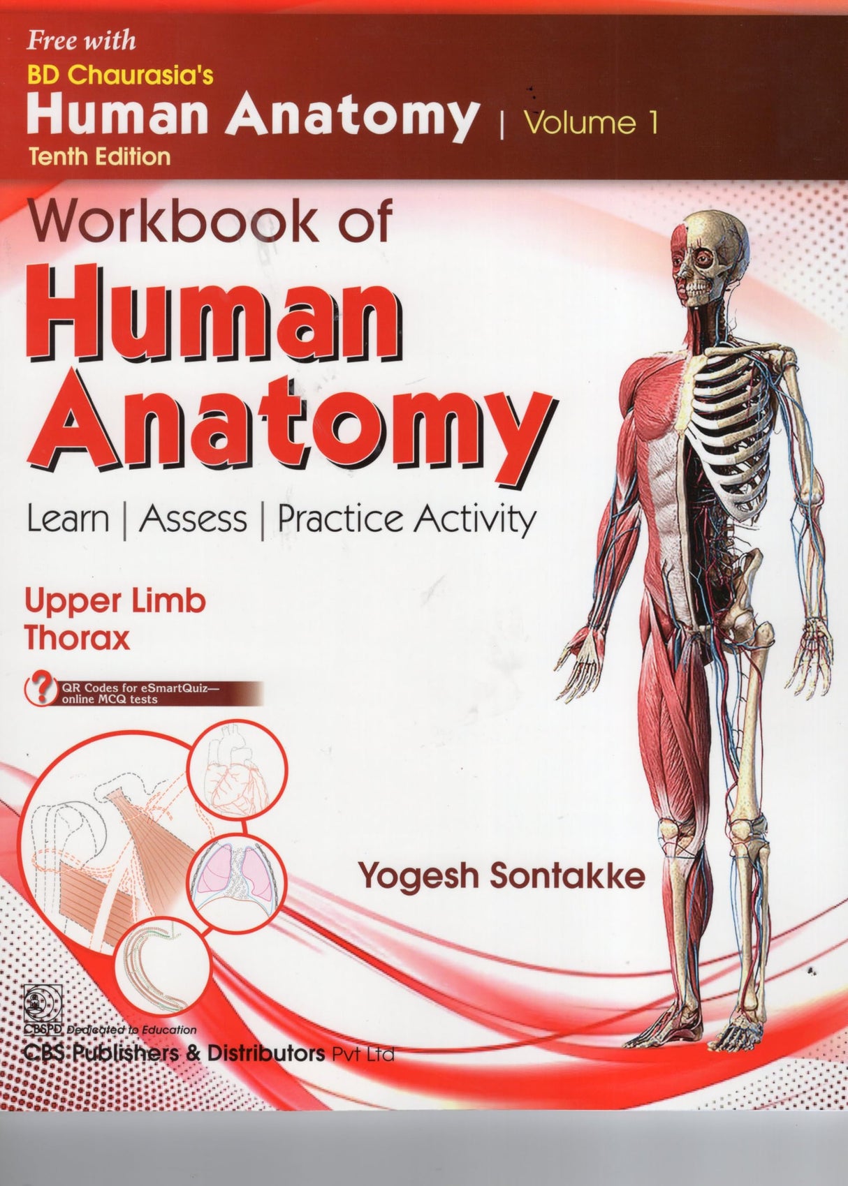 Bd Chaurasias Human Anatomy - 10Ed Vol 1 Regional And Applied Dissection And Clinical Upper Limb Thorax With Free Workbook And Ebooks (Pb 2025) - Retail Maharaj