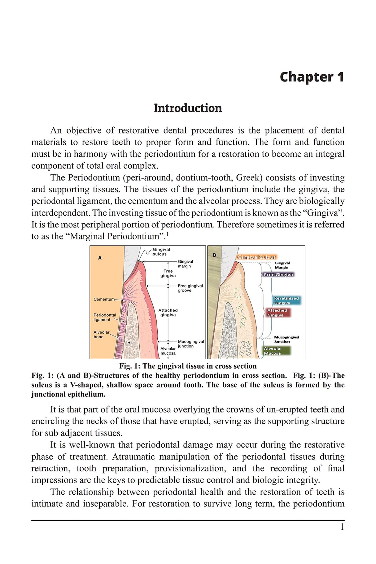 Gingival Tissue Management: Emphasis on Operative and Prosthodontic Aspect, Dec 2019, Operative Dentistry Books - Retail Maharaj
