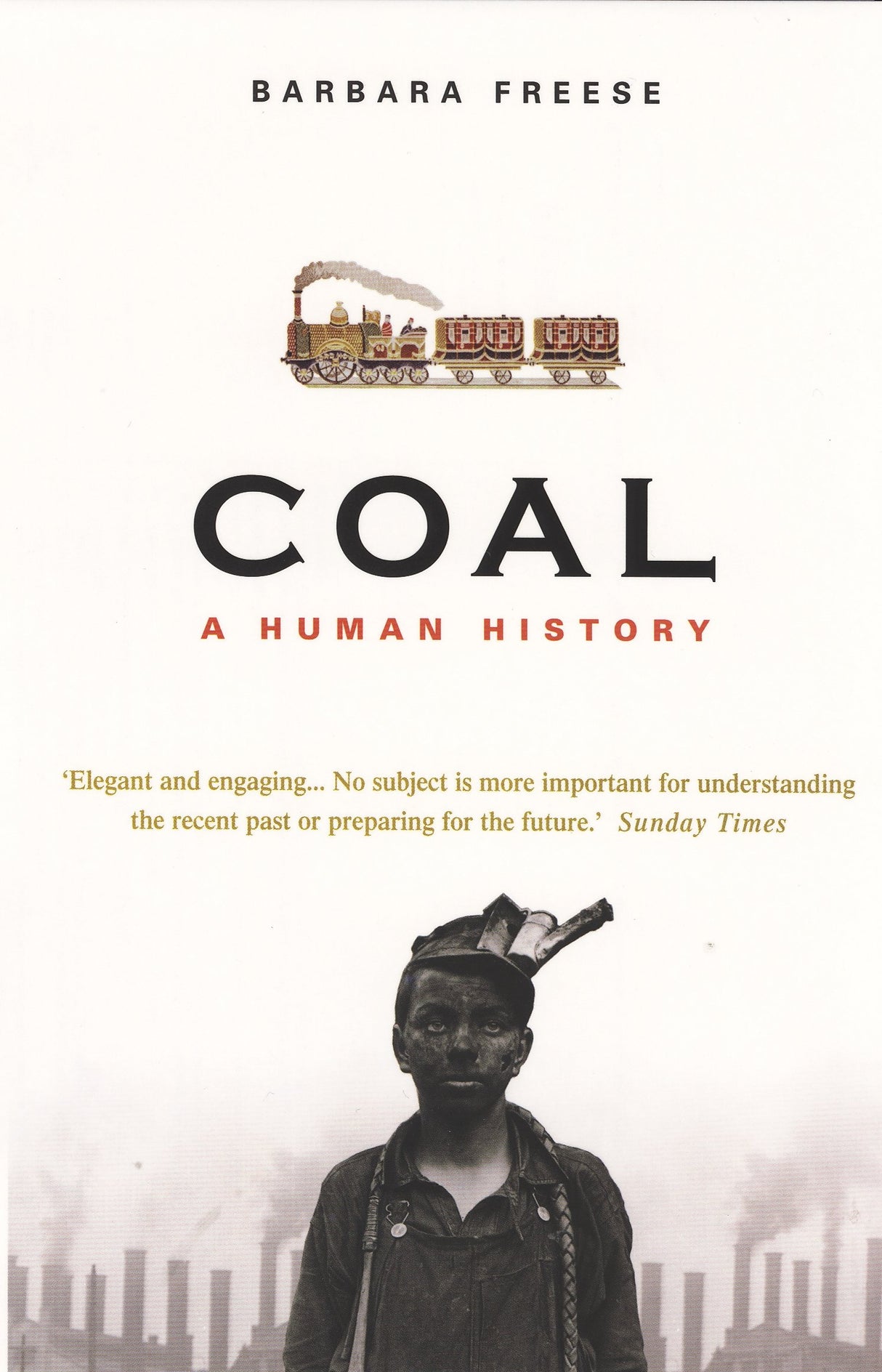 Coal - Retail Maharaj
