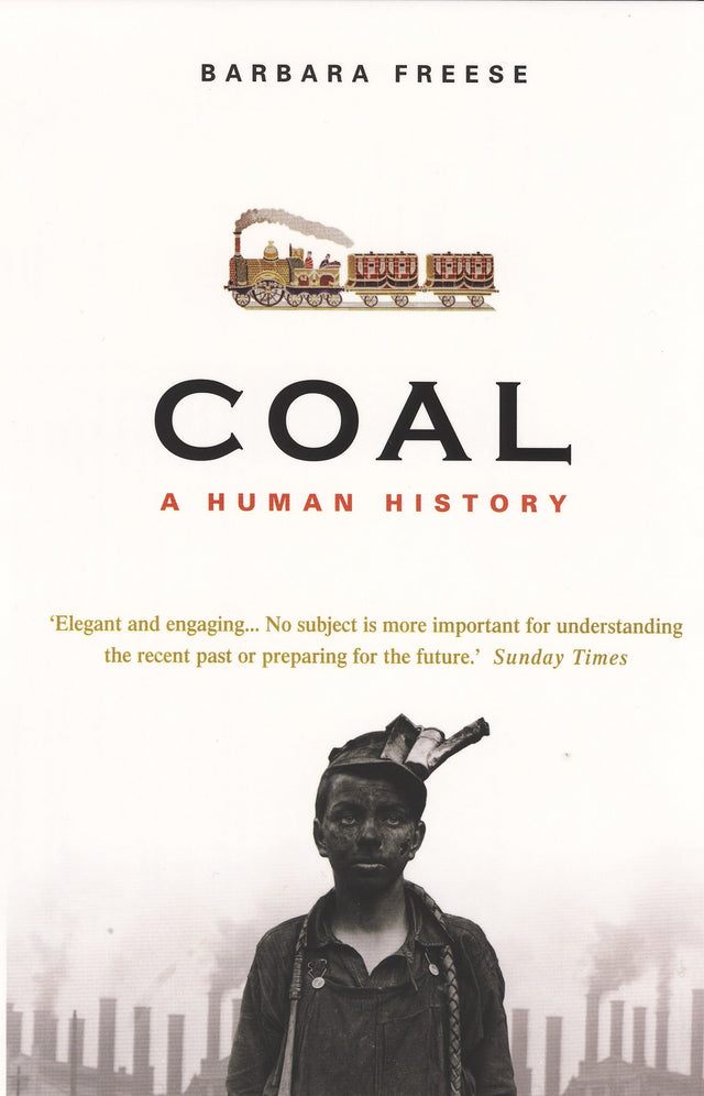 Coal - Retail Maharaj