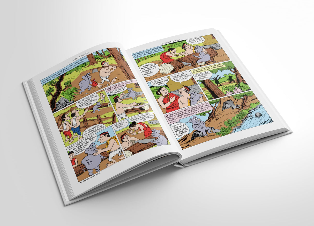 Jataka Collection 10-in-1 Set - Retail Maharaj