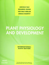 Plant Physiology and Development - Retail Maharaj