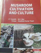 Mushroom Cultivation And Culture