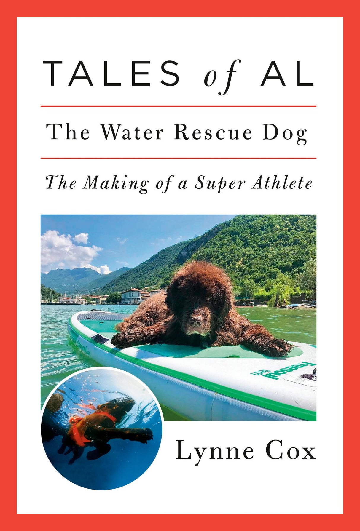 Tales of Al: The Water Rescue Dog - Retail Maharaj