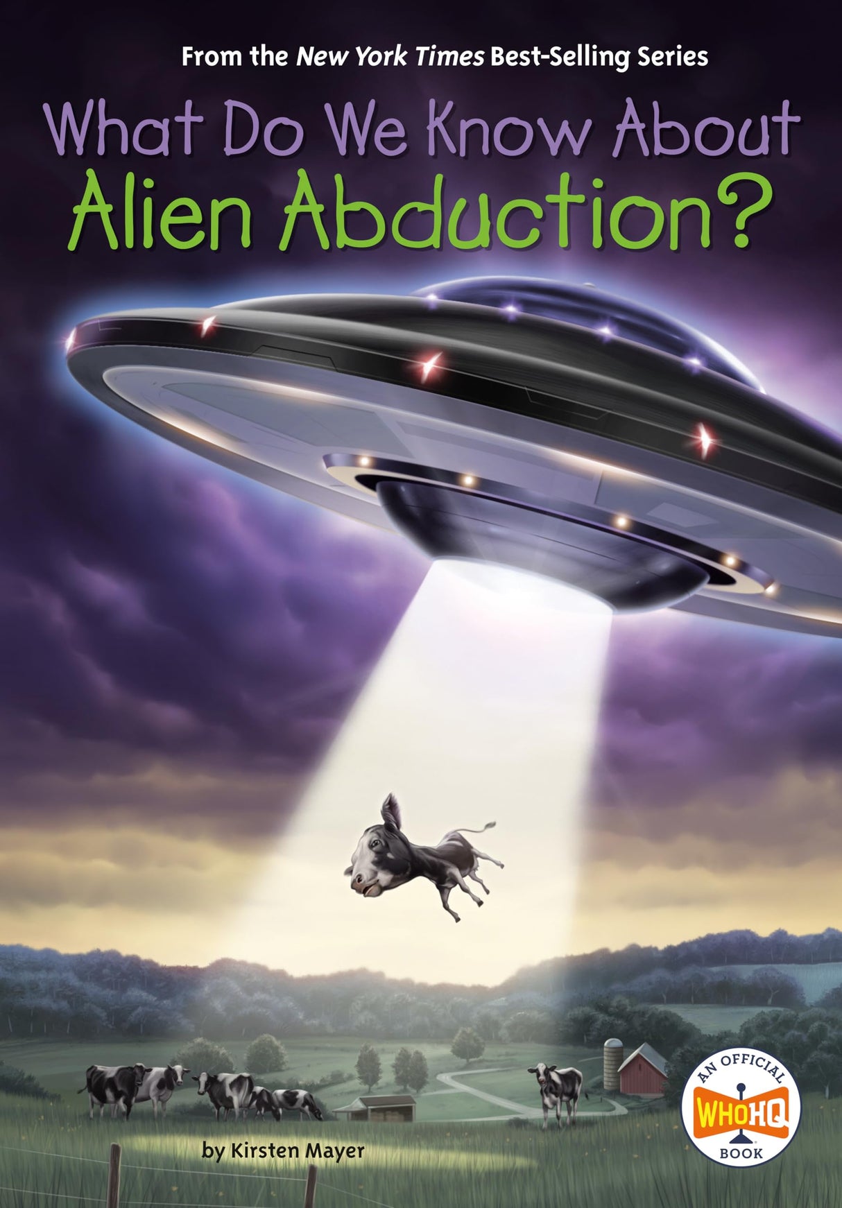 What Do We Know About Alien Abduction? - Retail Maharaj