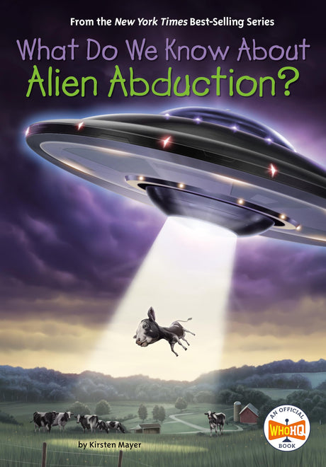 What Do We Know About Alien Abduction? - Retail Maharaj