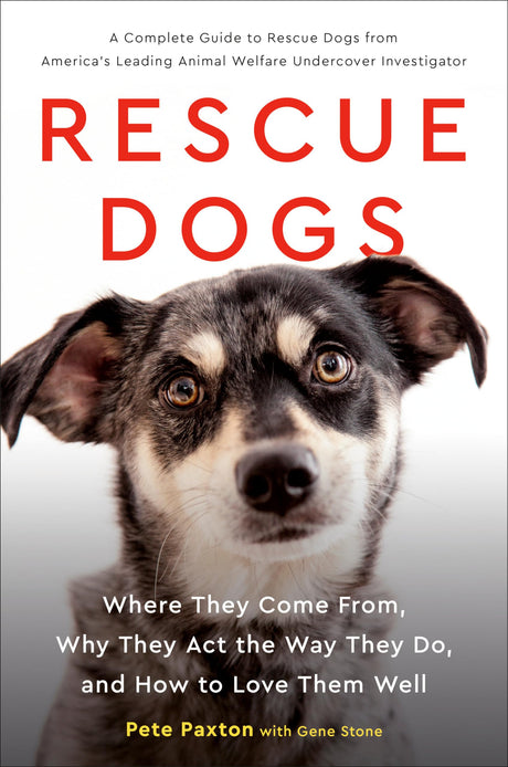 Rescue Dogs - Retail Maharaj