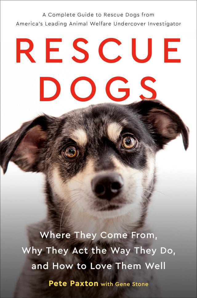 Rescue Dogs - Retail Maharaj