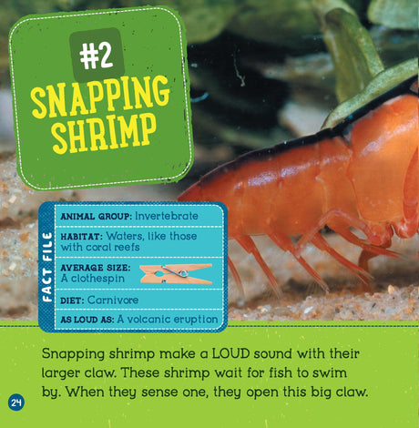 Loudest Animals (Wild World: Top 10) - Retail Maharaj