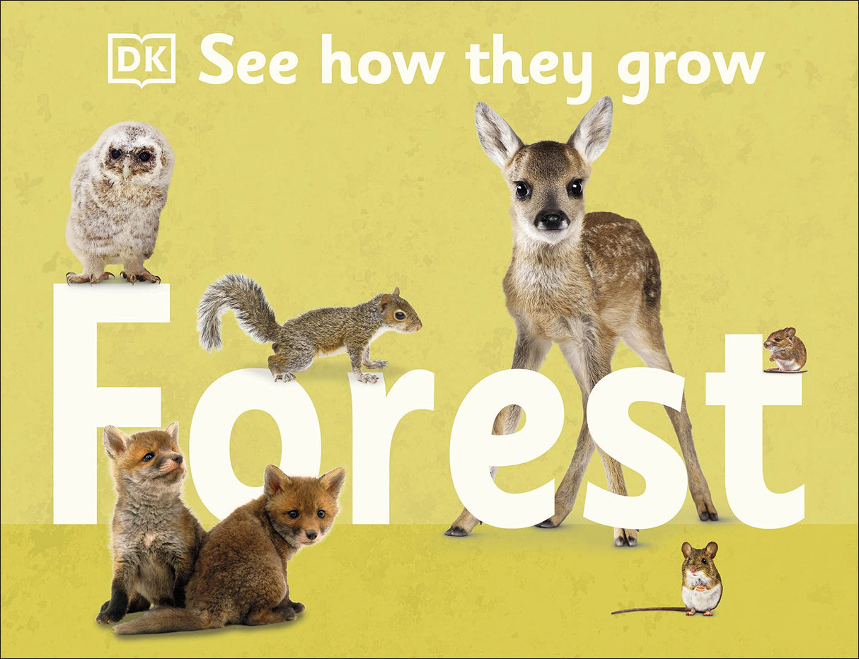 See How They Grow Forest - Retail Maharaj