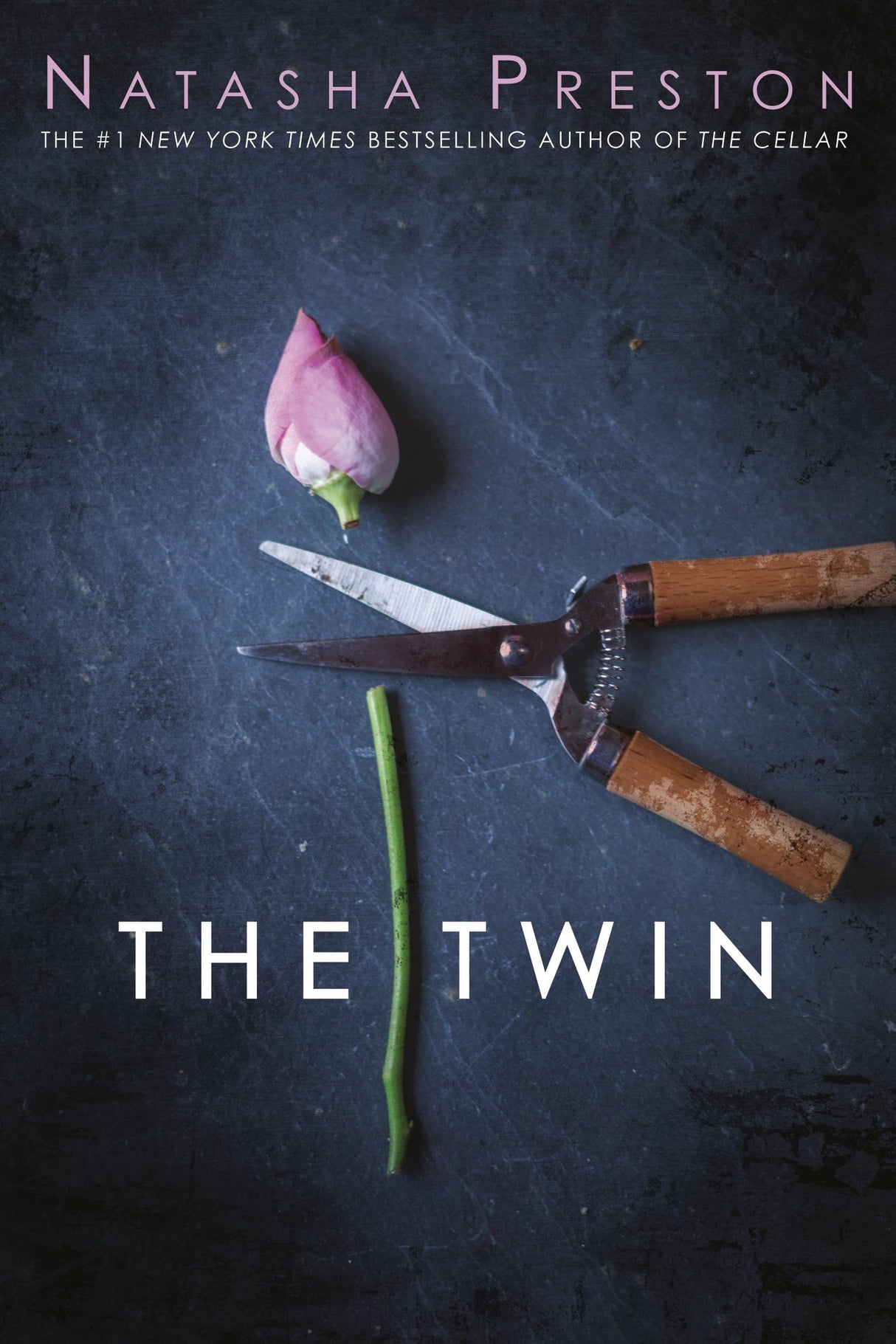 The Twin - Retail Maharaj
