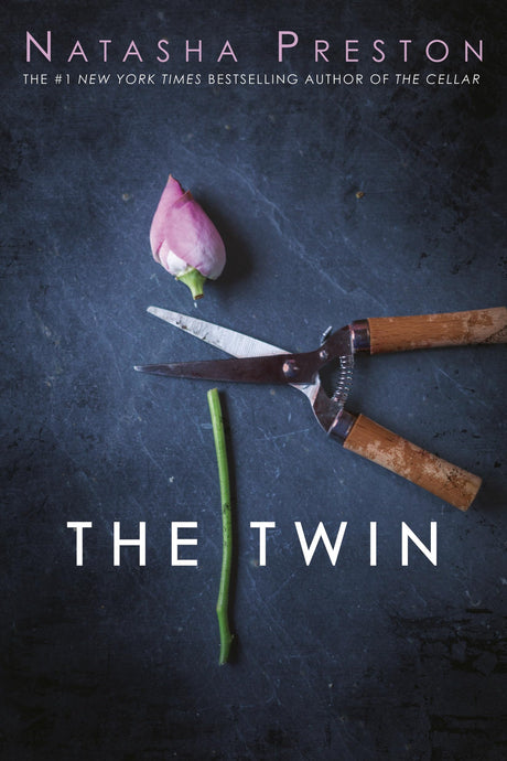 The Twin - Retail Maharaj