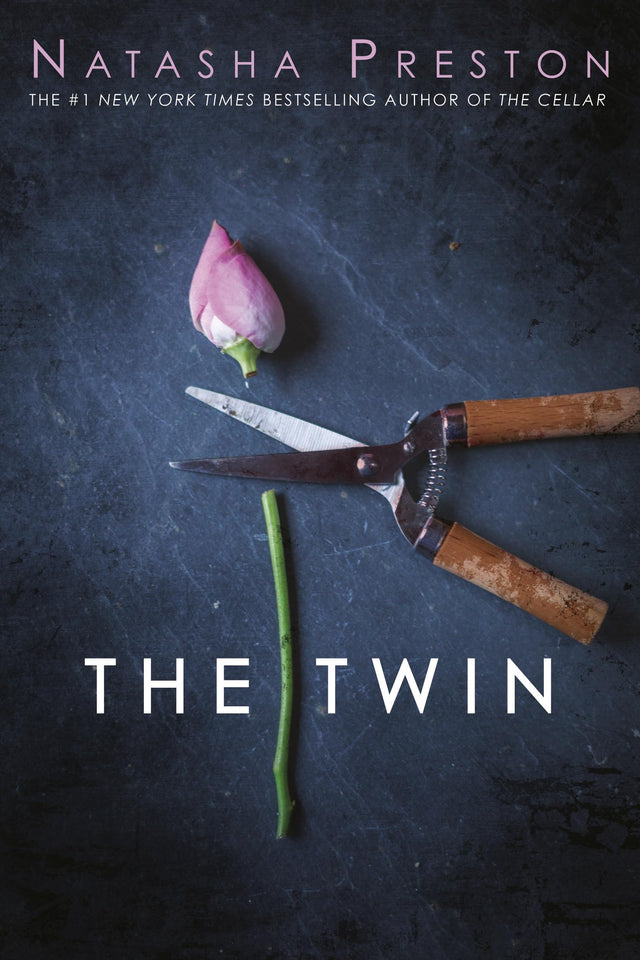 The Twin - Retail Maharaj