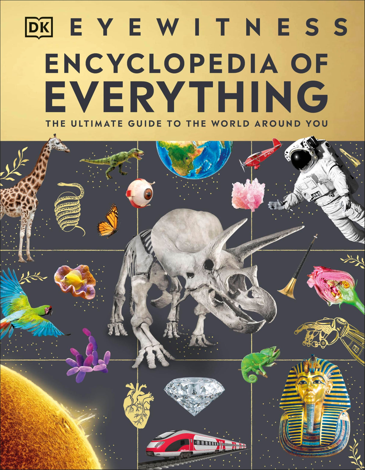 Eyewitness Encyclopedia of Everything: The Ultimate Guide to the World Around You - Retail Maharaj