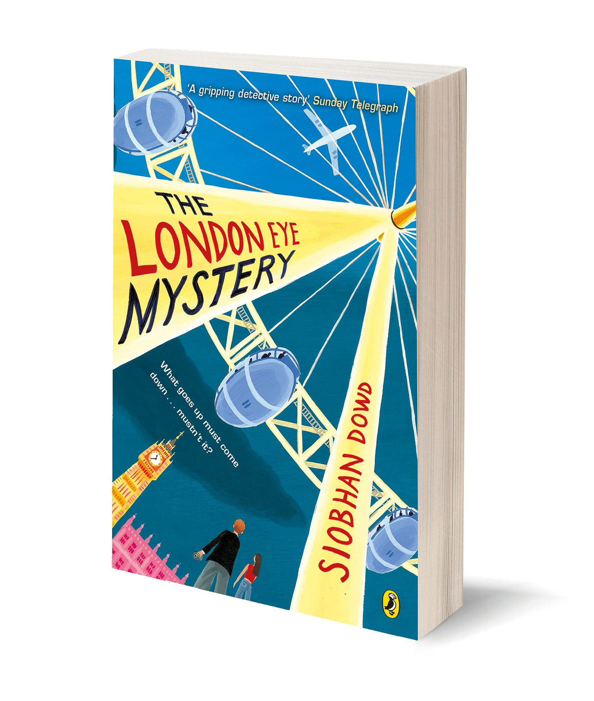 The London Eye Mystery - Retail Maharaj