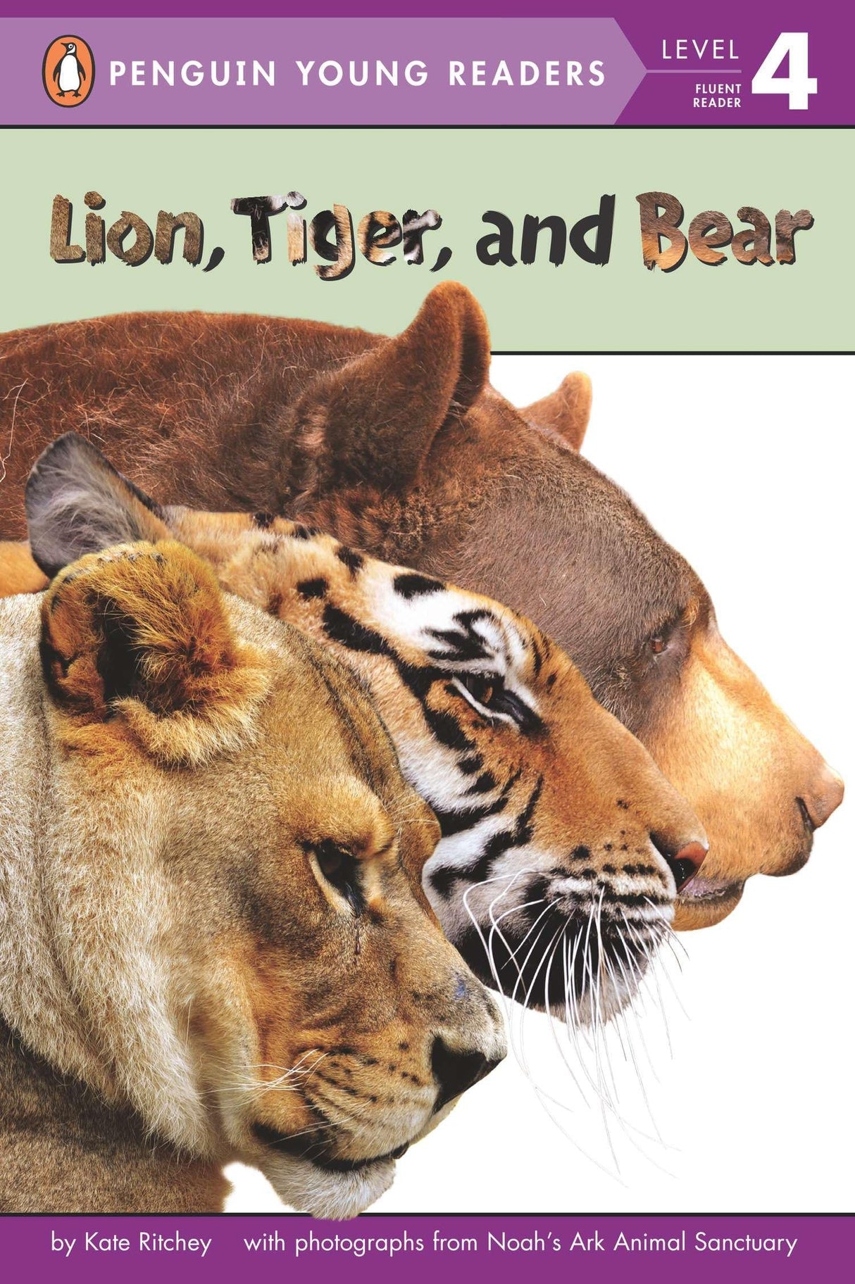 Lion, Tiger, and Bear (Penguin Young Readers, Level 4) - Retail Maharaj