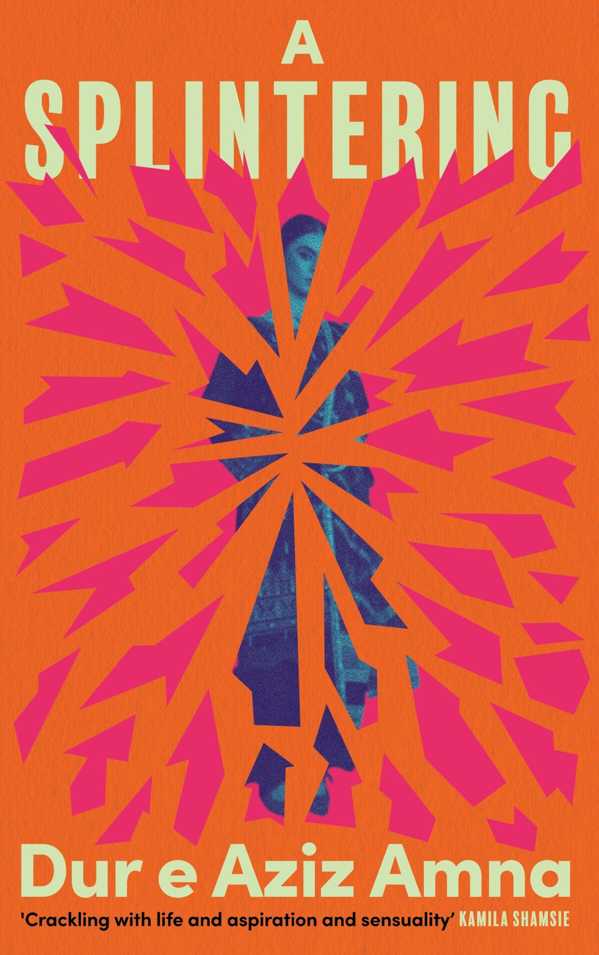 A Splintering: An unforgettable story of motherhood, obsession and ambition - Retail Maharaj